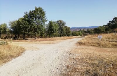 SE VENDE FINCA RUSTICA EN LA SIERRA DE HUELVA OFERTA 2025 - 4