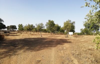 SE VENDE FINCA RUSTICA EN LA SIERRA DE HUELVA OFERTA 2025 - 3